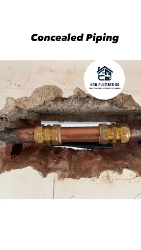 HDB Plumber SG 3