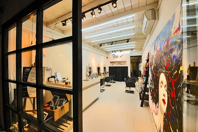 Picasso Hair Studio 2