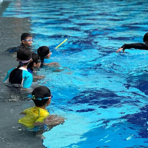 Steady Swim School 3